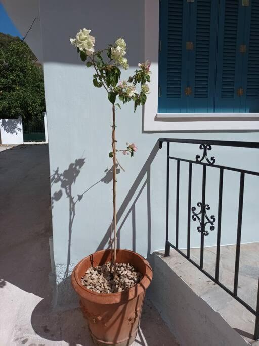 Studio Bella Epidaurus Esterno foto
